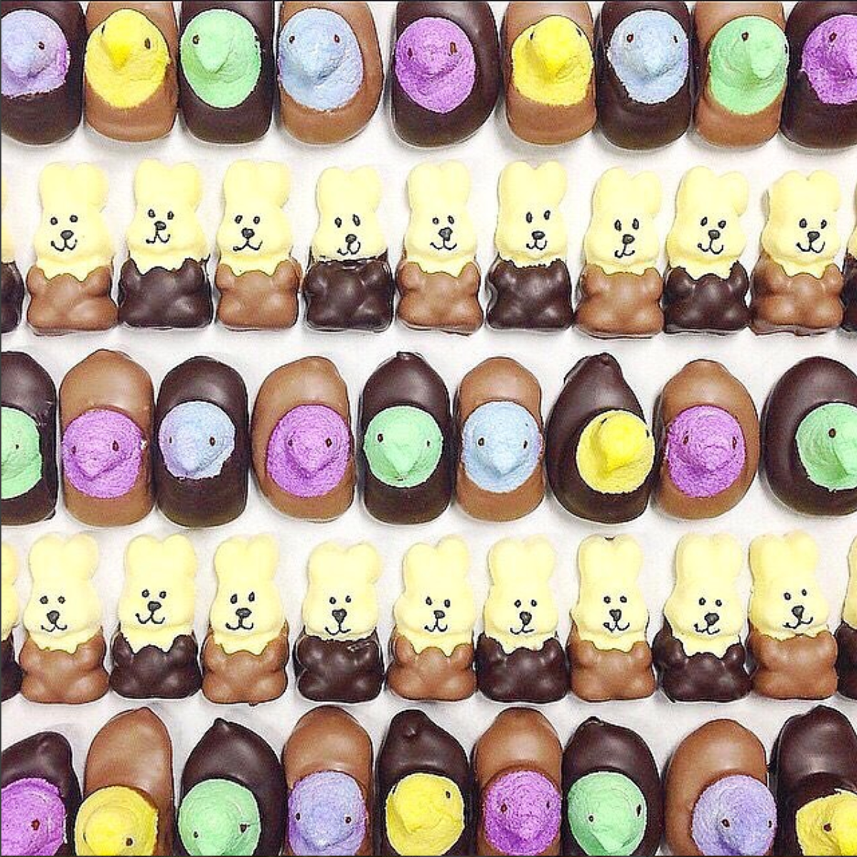 Chocolate Dipped Peeps - Edelweiss Chocolates